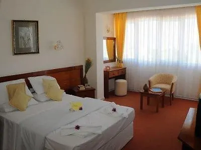 Hotel Mountain View 3*