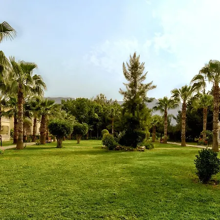 Mountain View Ayvaryara