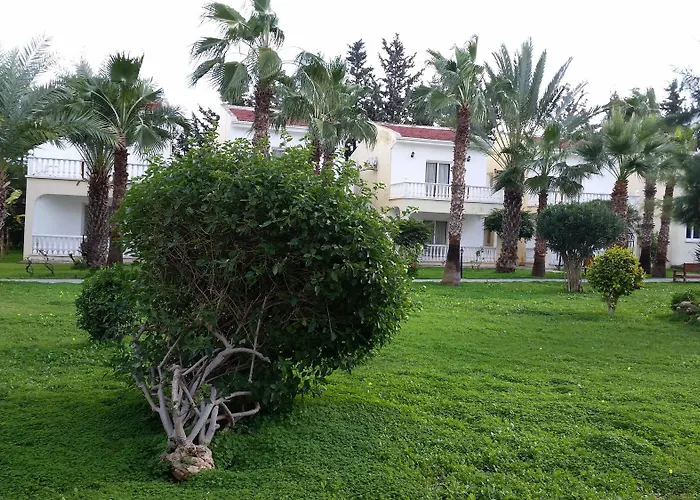 فندق Mountain View