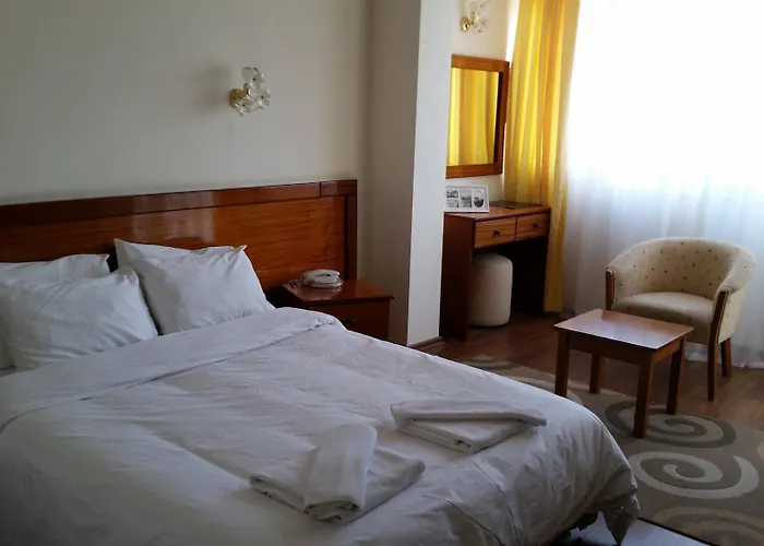 Hotel Mountain View 3*