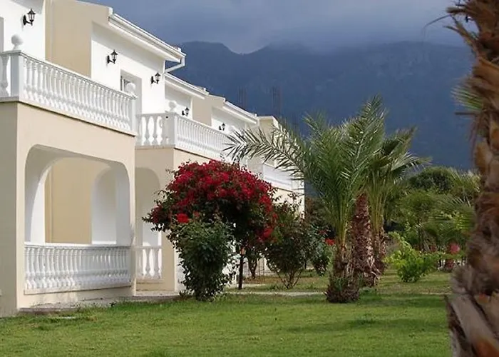 فندق Mountain View